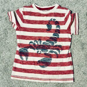 Sonoma Boys Cotton Striped ScorpionTee, Size 4T